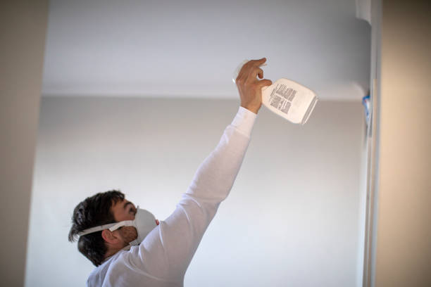 Best Local Mold Removal Service  in Wyldwood, TX