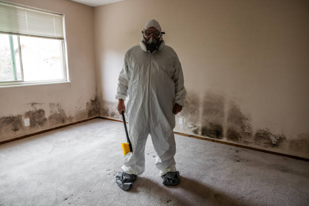 Best Residential Mold Removal  in Wyldwood, TX